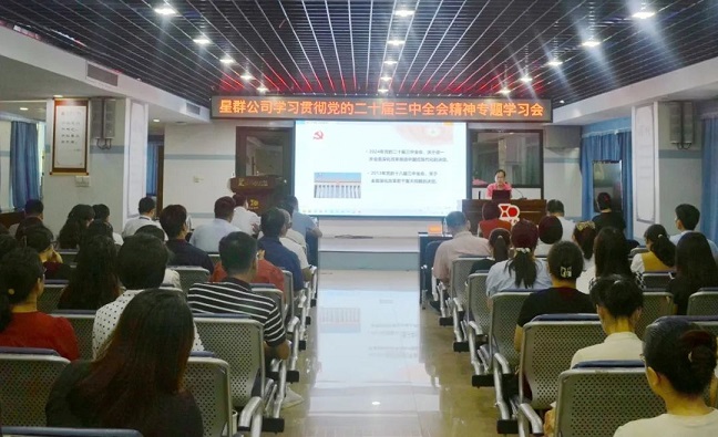 星群公司舉辦學(xué)習貫徹黨的二十屆三中全會精神專題學(xué)習會